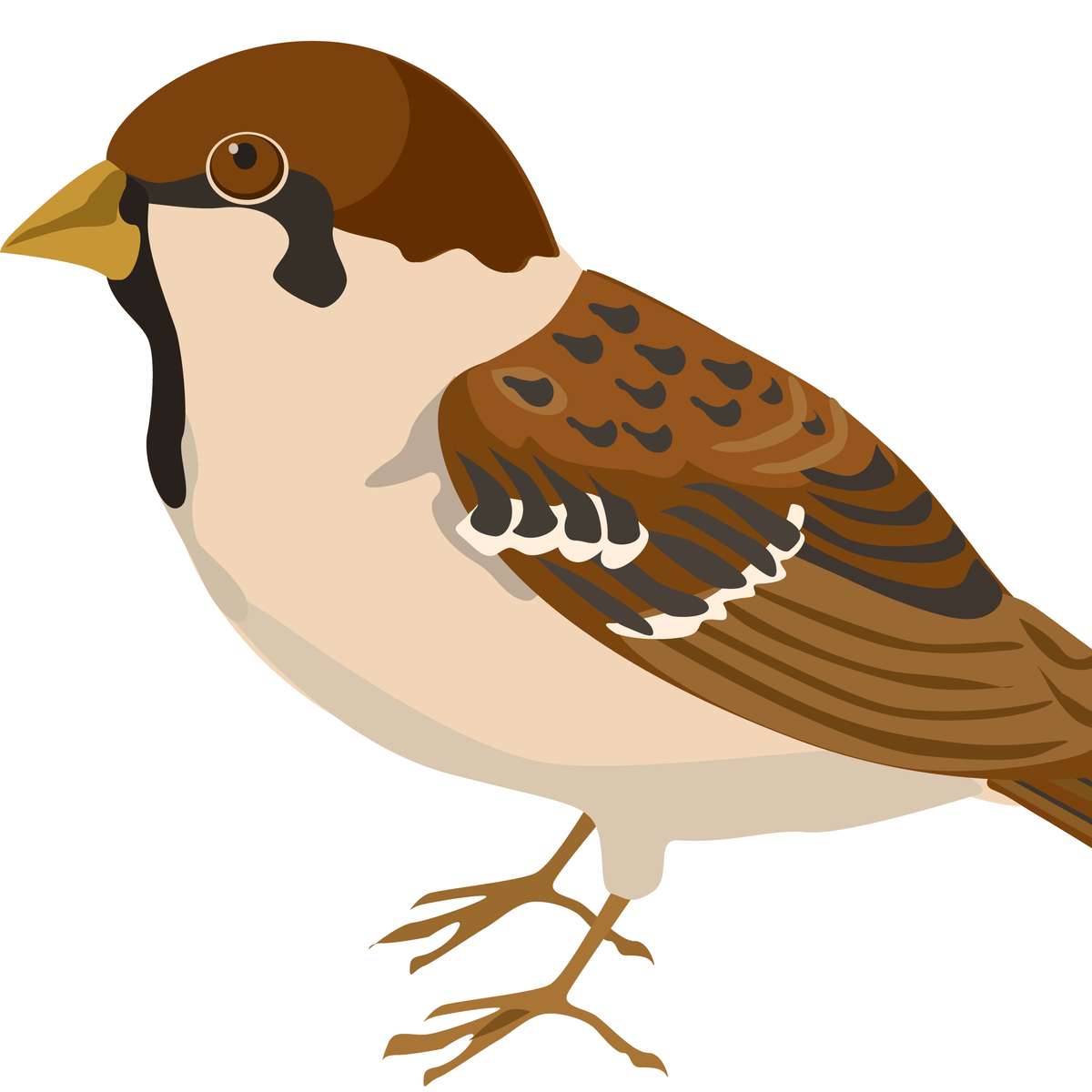 Pussel Sparrow Pussel online