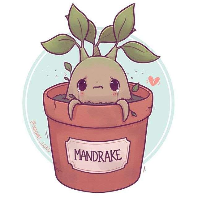 Mandrake online puzzle