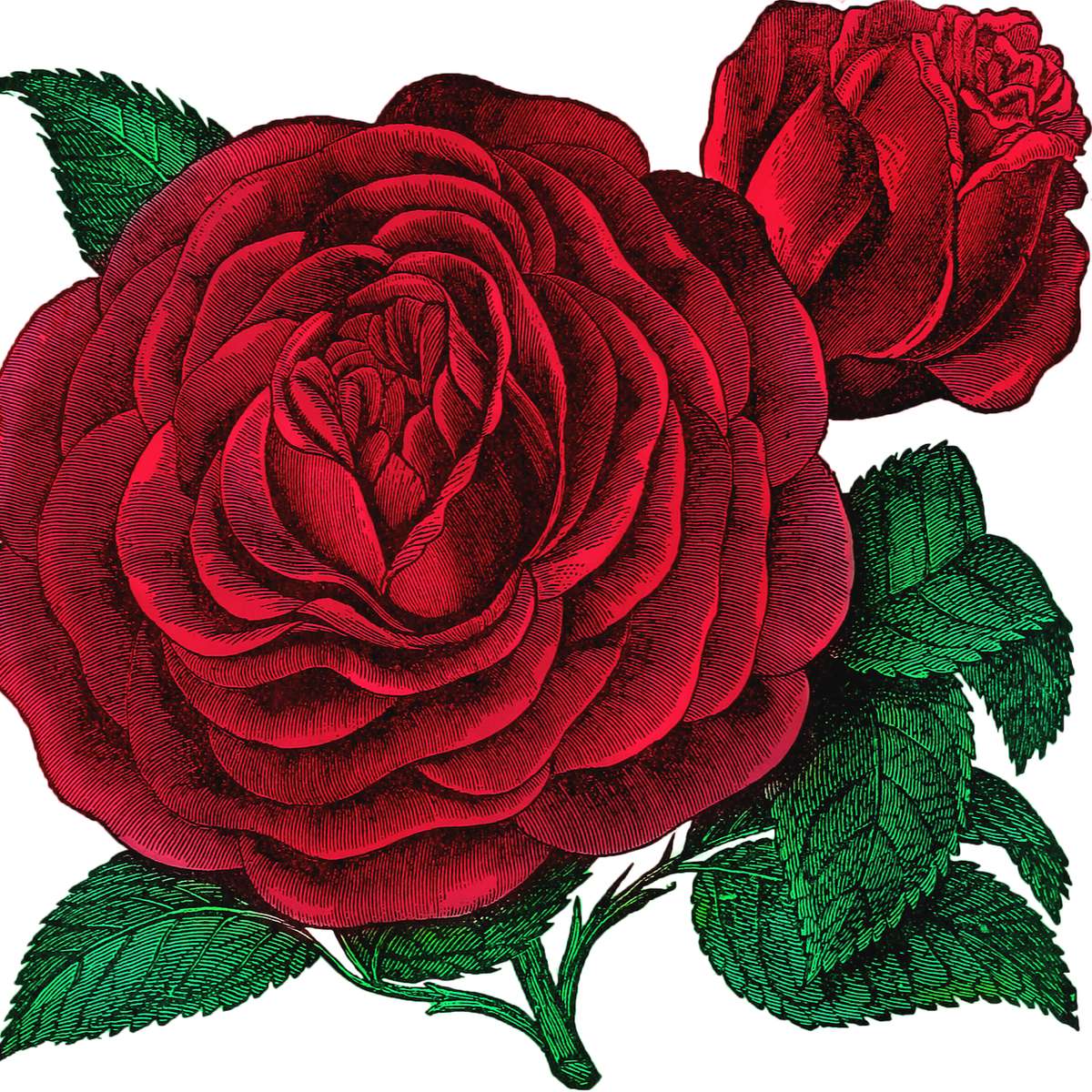 rosa com vintage puzzle deslizante online