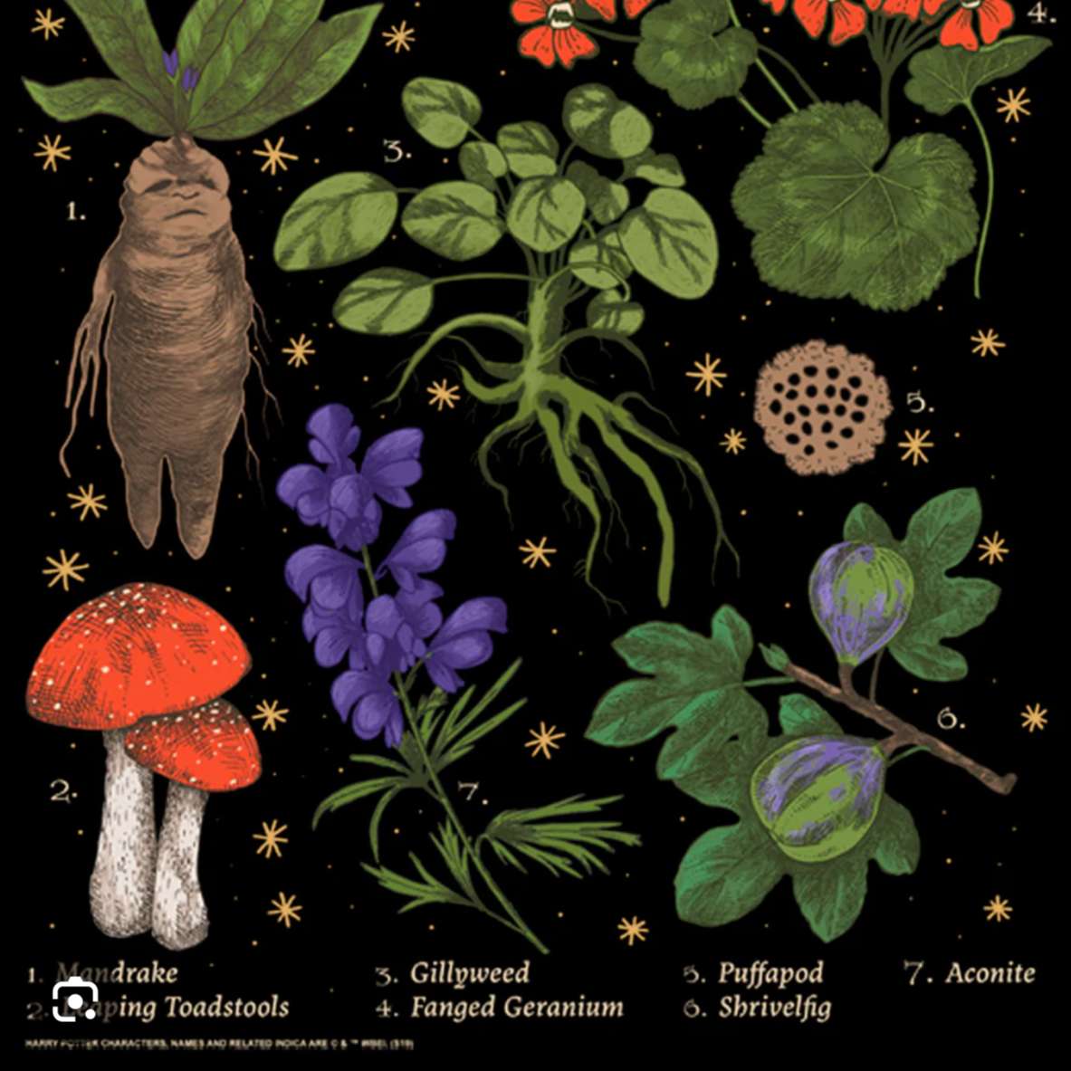 Herbologie posuvné puzzle online