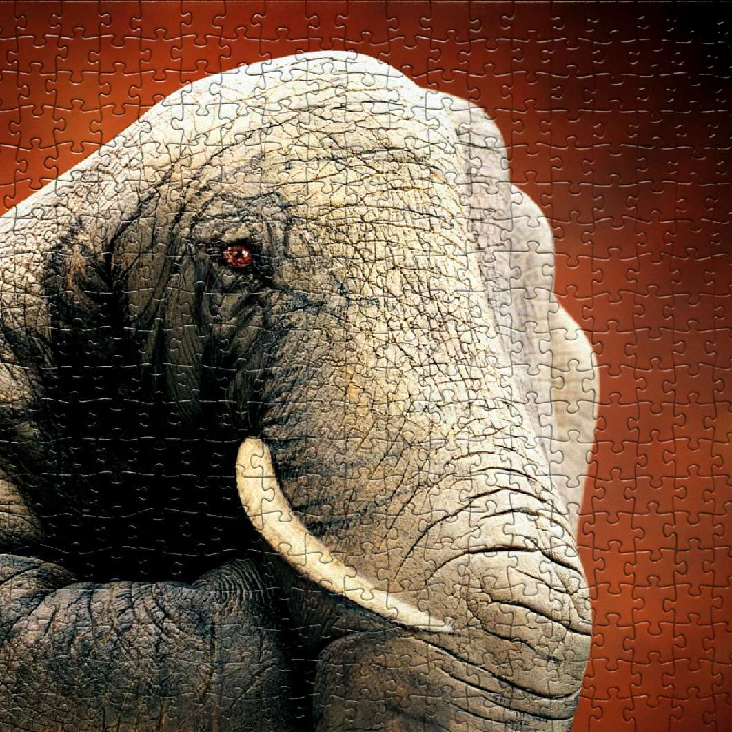 Zagadka ze słoniem puzzle przesuwne online