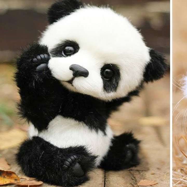 Simpatico coniglio e panda. puzzle scorrevole online