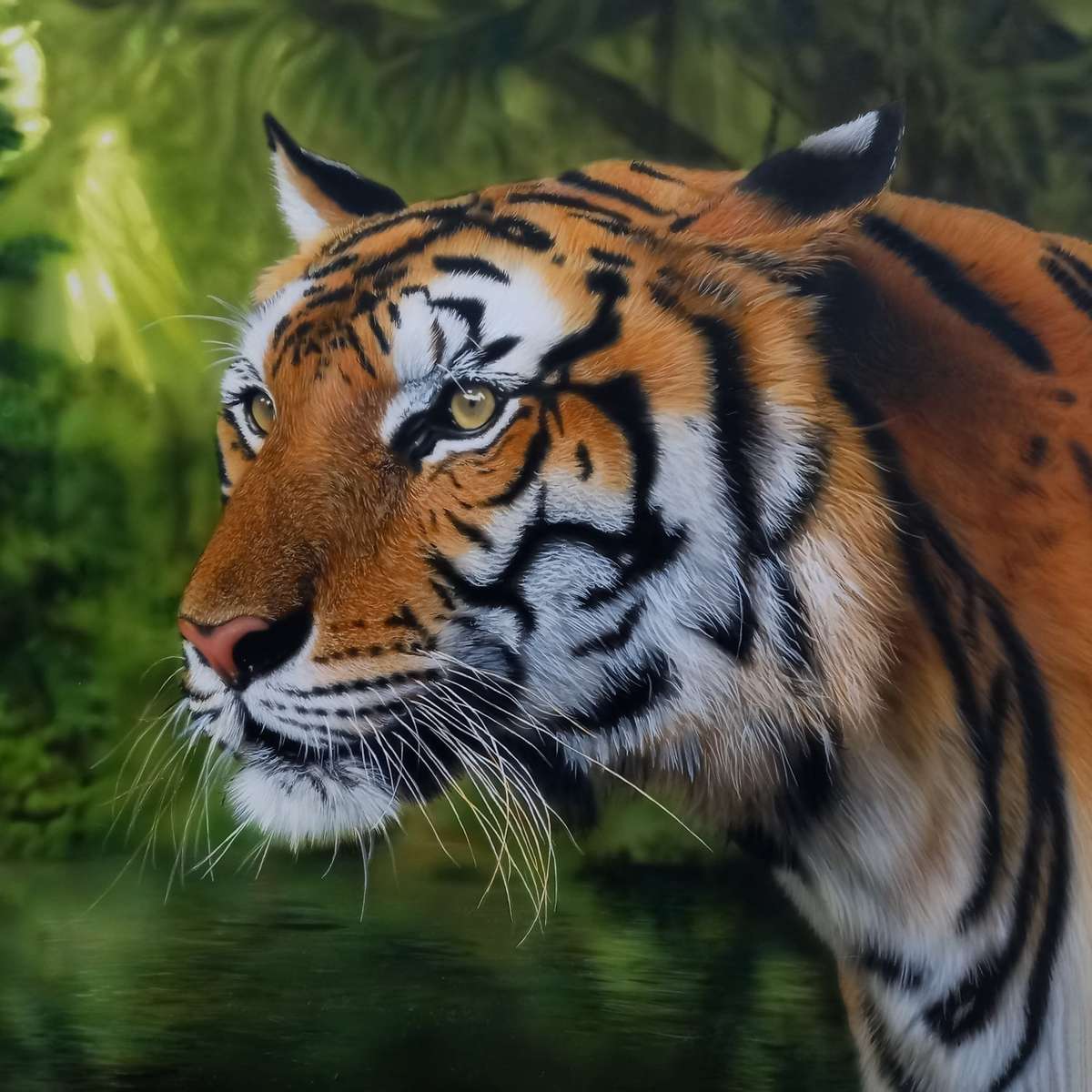 Тигр Тео онлайн-пазл