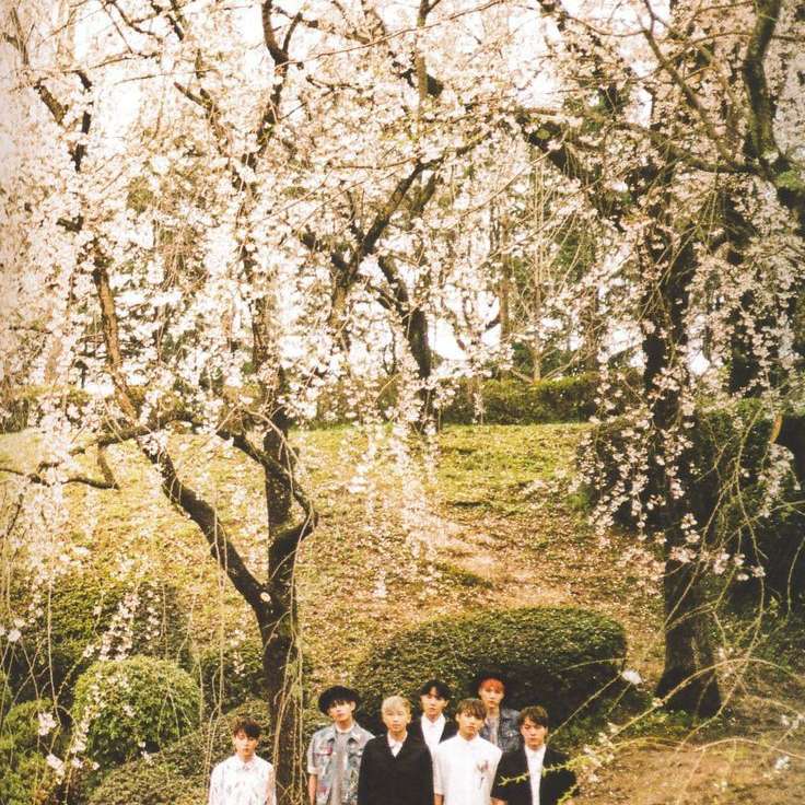 Puzzle Je cite HYYH pt 1 puzzle en ligne