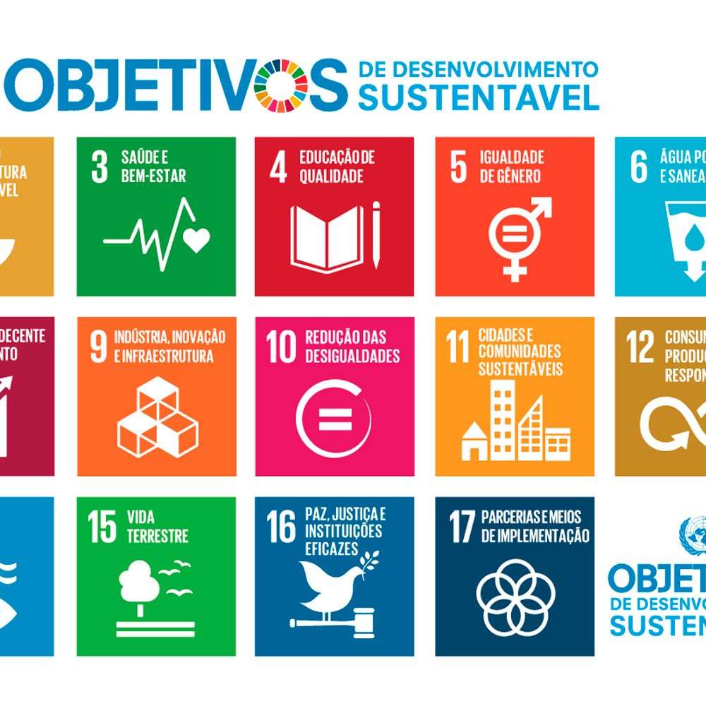 DESARROLLO SOSTENIBLE rompecabezas en línea