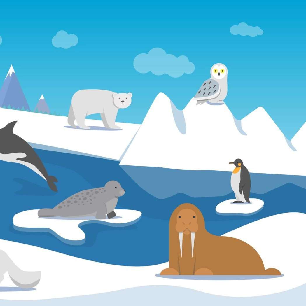 サバイバー タンドラ オンラインパズル