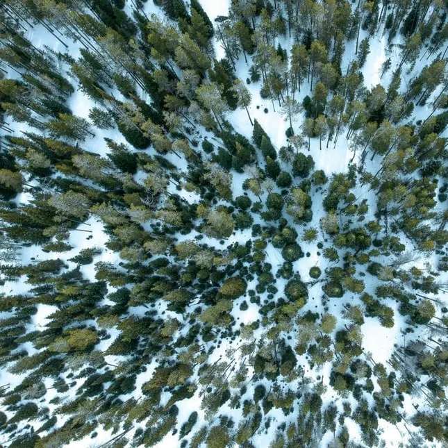 Dit is een test online puzzel