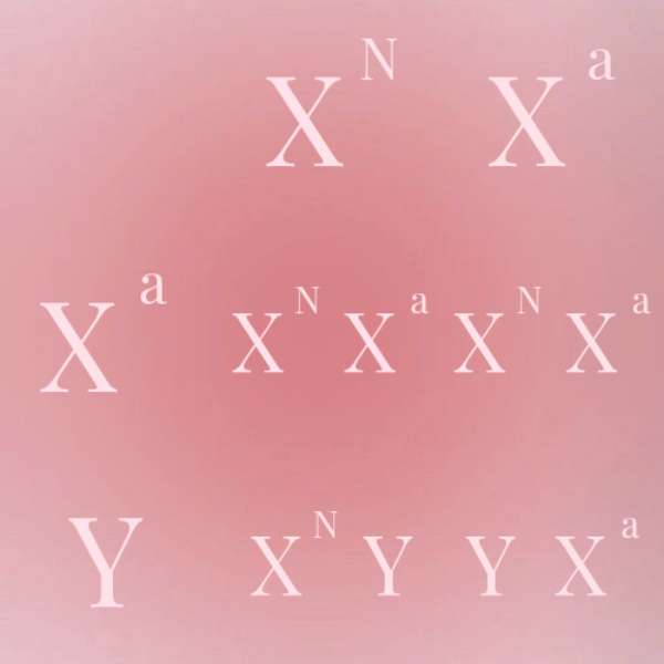 Punnet Square Puzzle glidande pussel online