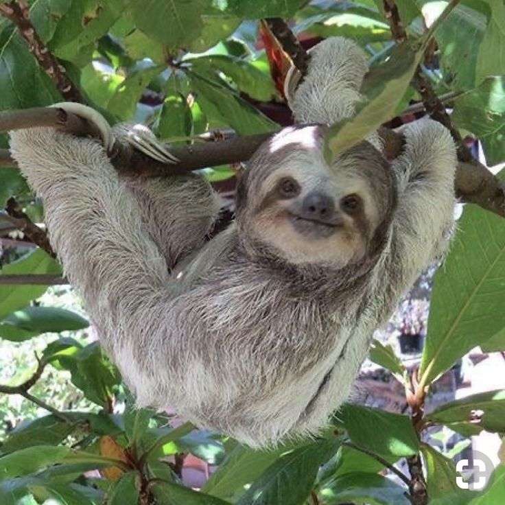 パズル1 オンラインパズル