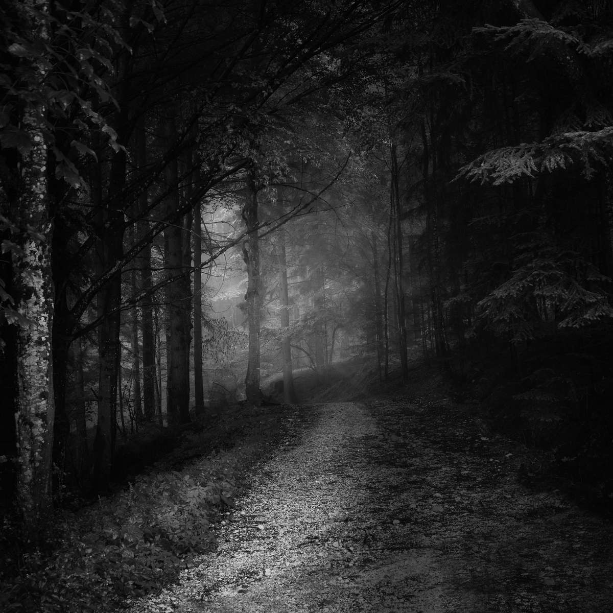 スライドパズル1：p オンラインパズル