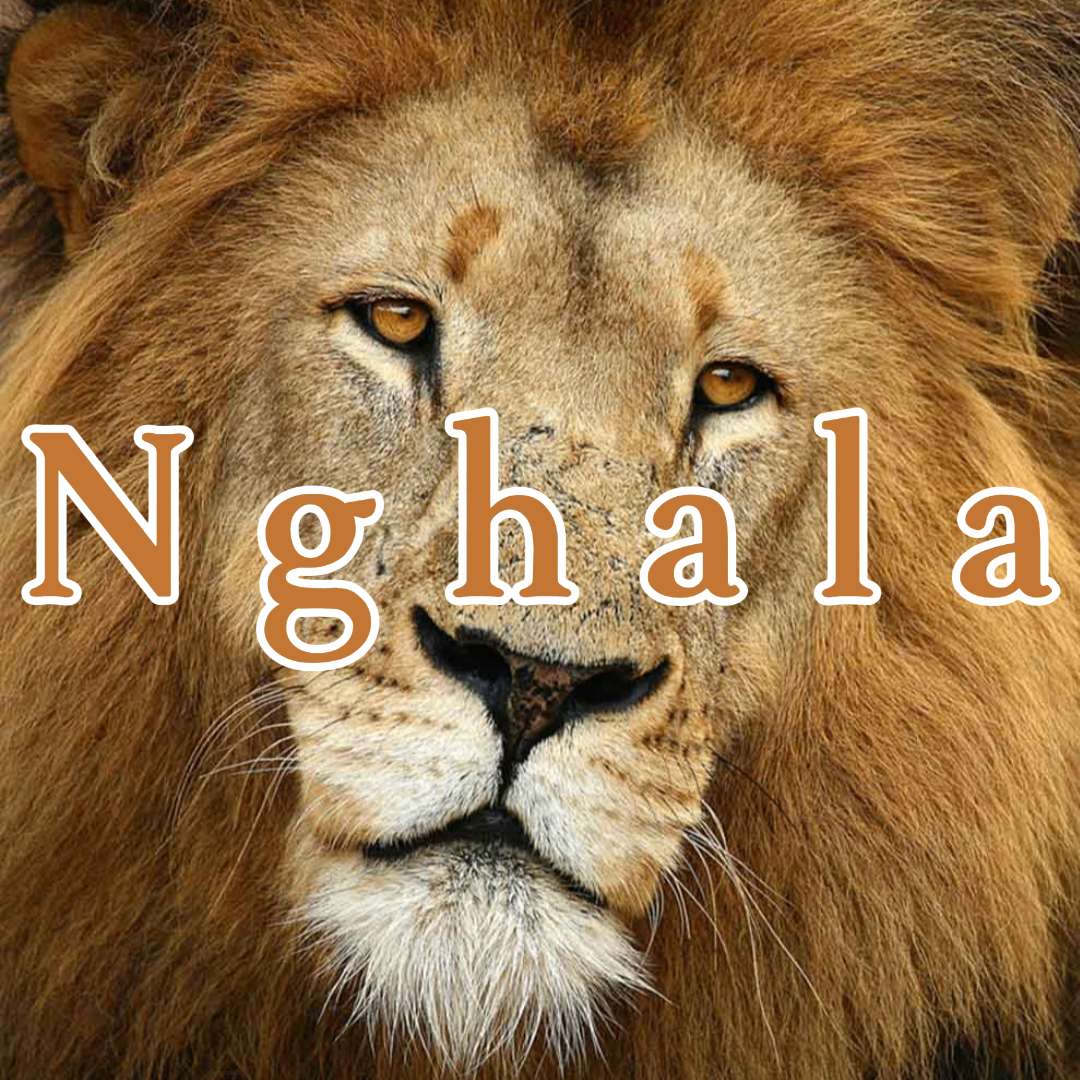Nghala Puzzle online puzzle