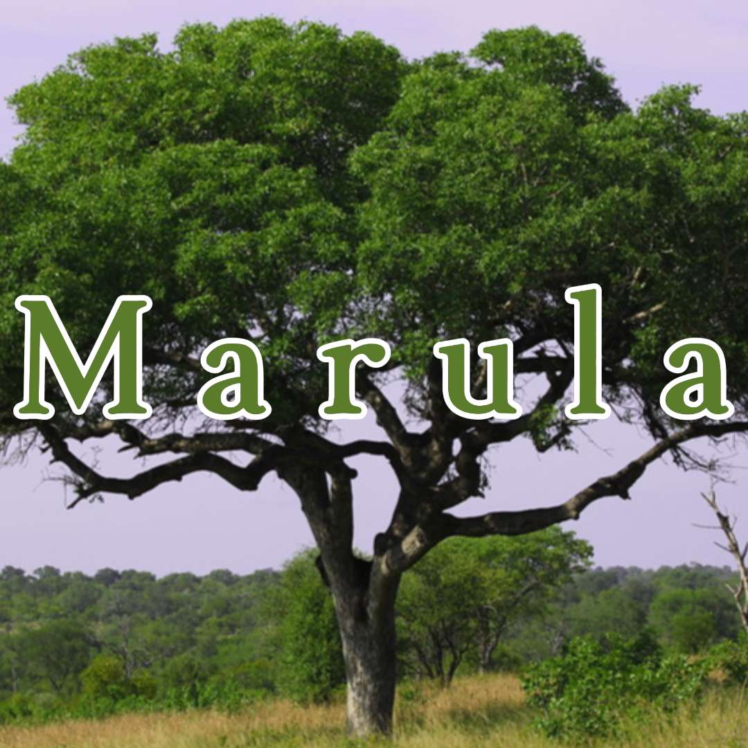 マルラパズル スライディングパズル・オンライン