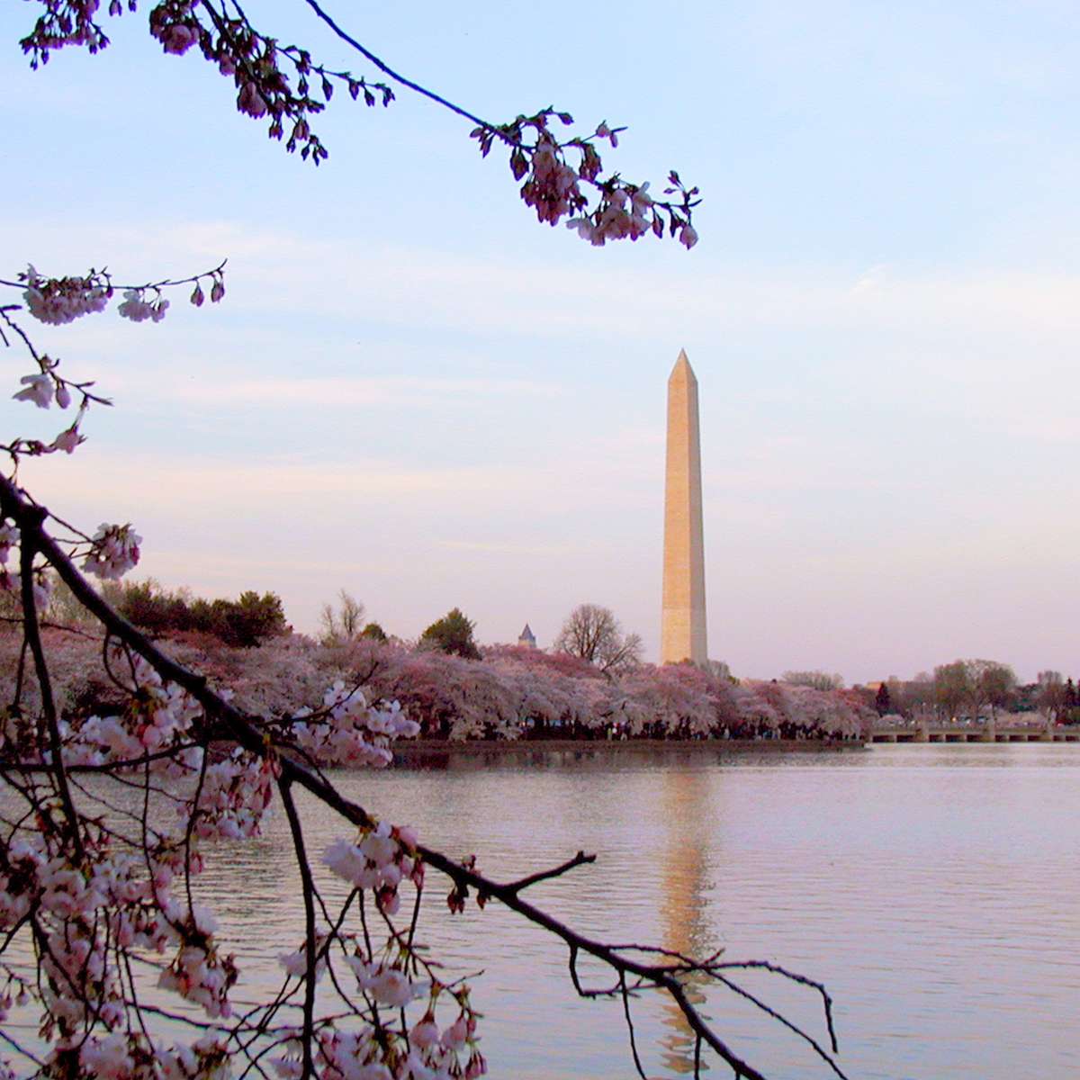 Sunset on Washington Monument sliding puzzle online