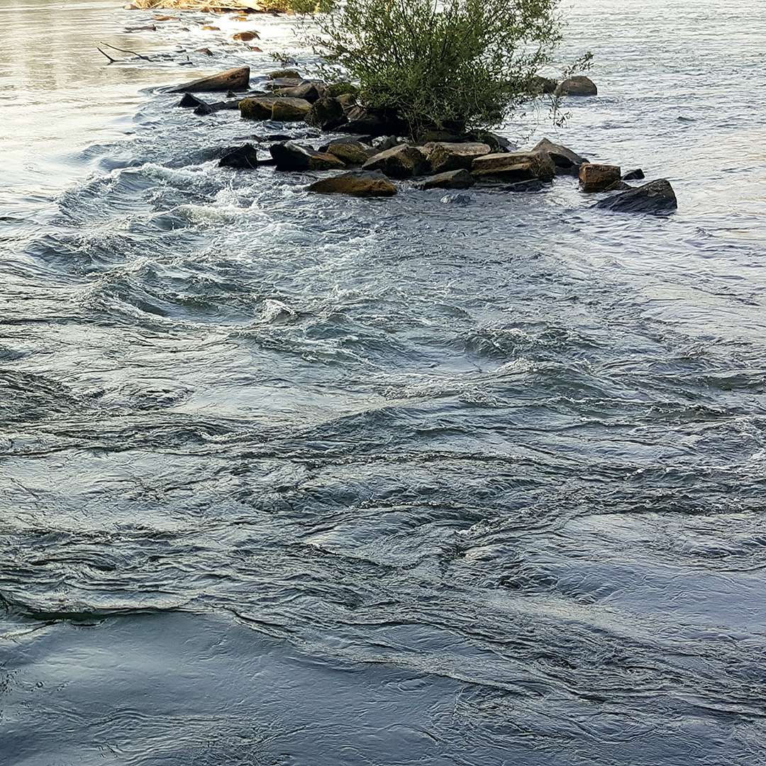 危険なカラント スライディングパズル・オンライン