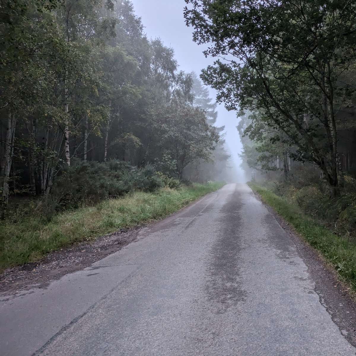 Drumul de ceață alunecare puzzle online