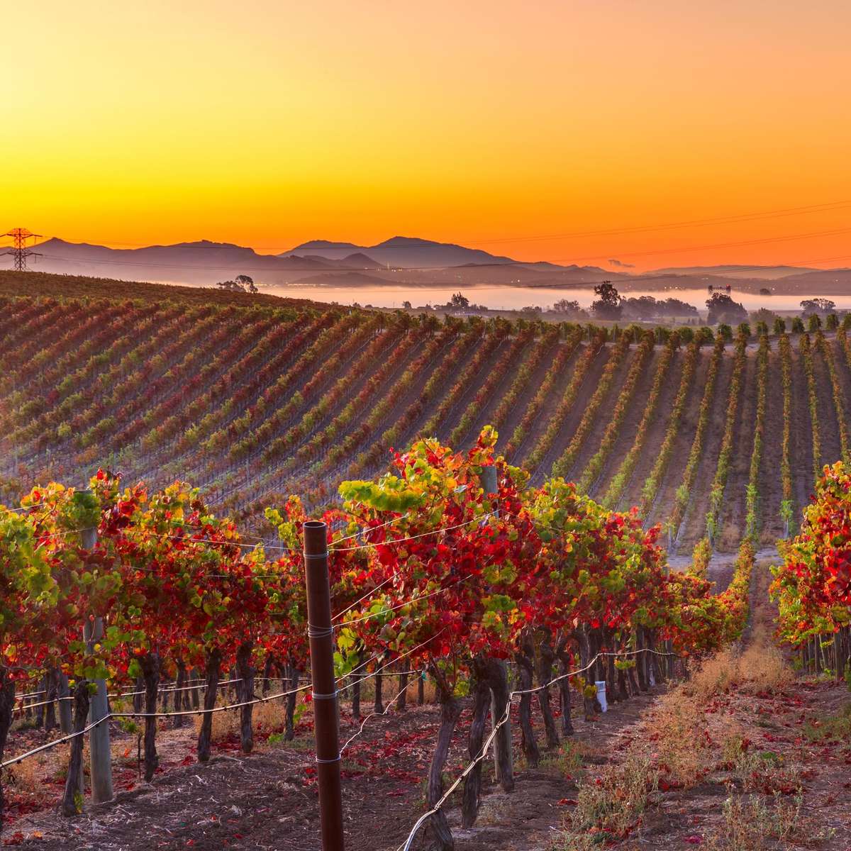 Jaliven S3: 7x7 Folie Schiebepuzzle online