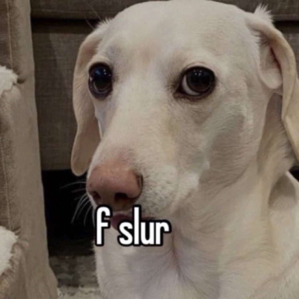 Dog Puzzle with less cement this time sliding puzzle online