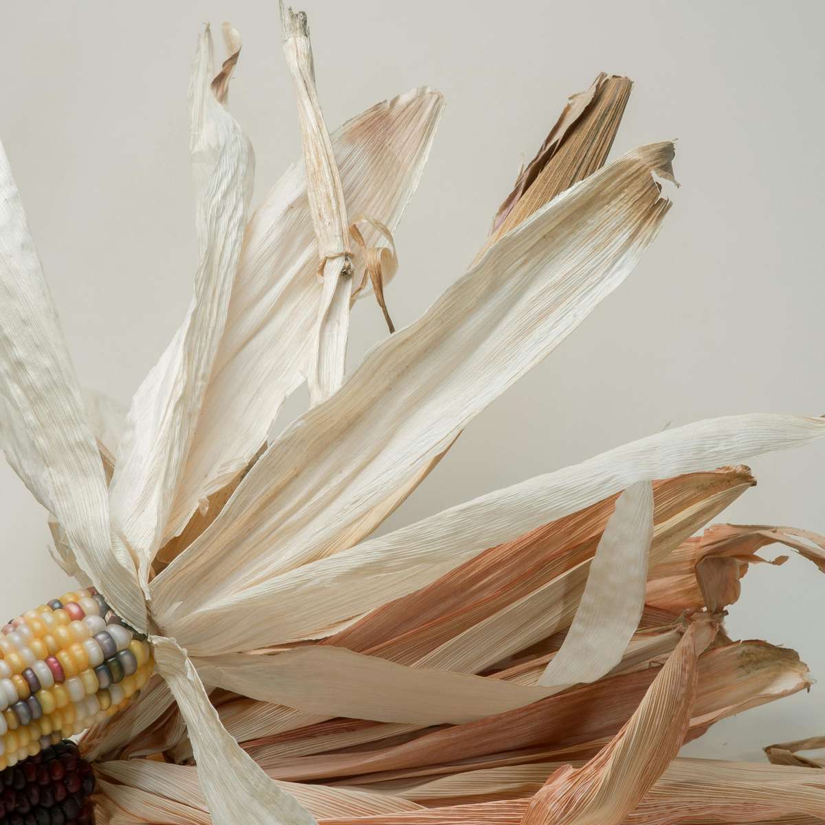 Сушени царевични корпуси плъзгащ се пъзел онлайн