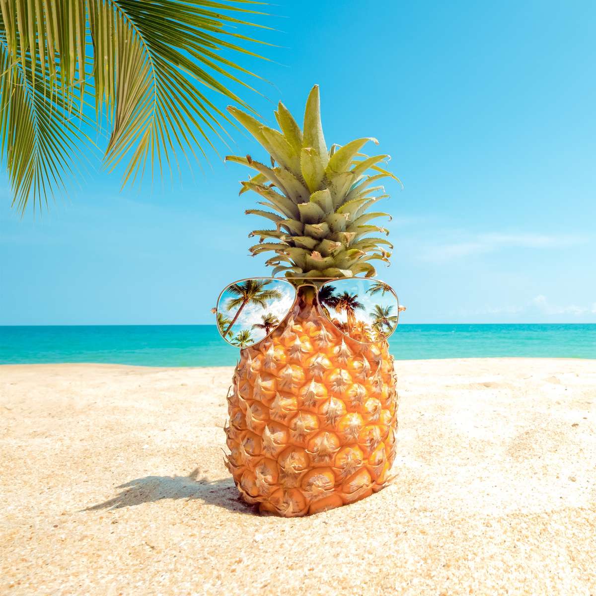 Сезон 9 пъзел онлайн пъзел