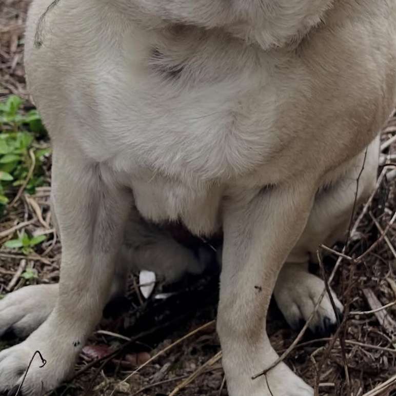 Елиминиране плъзгащ се пъзел онлайн