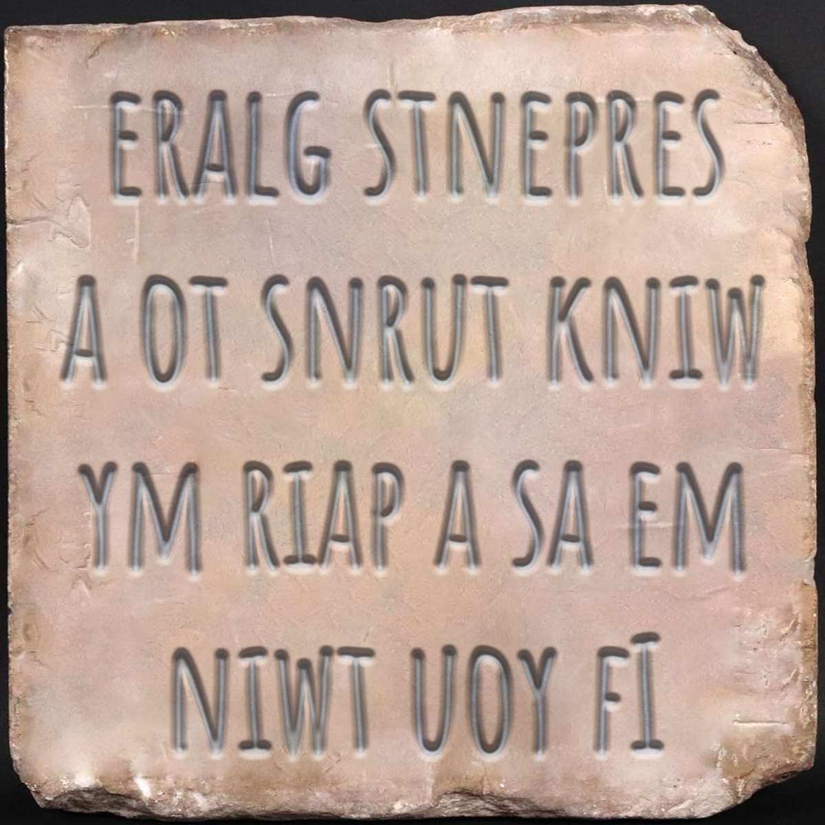 testwhyi puzzle online