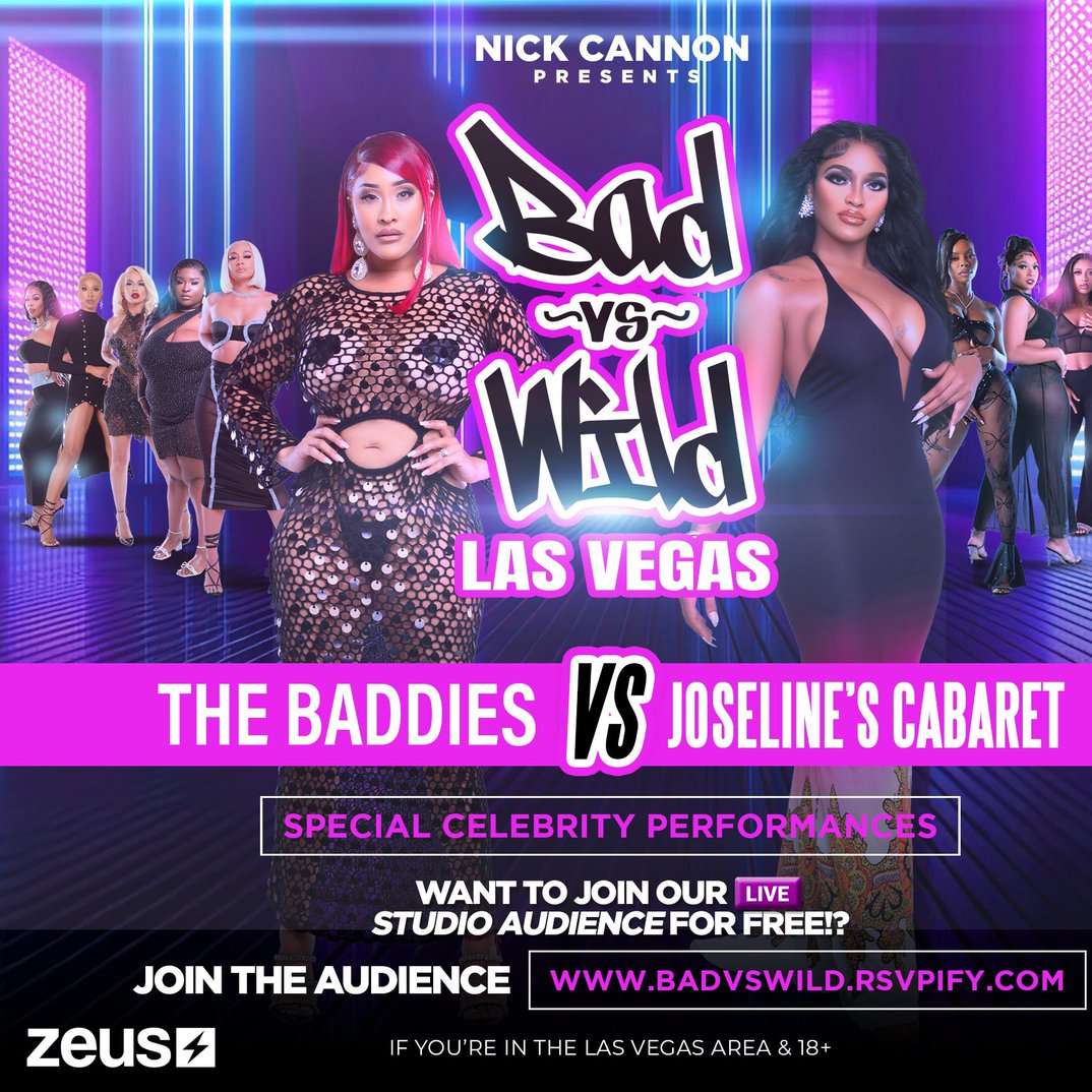 MVTV バッド対ワイルド オンラインパズル