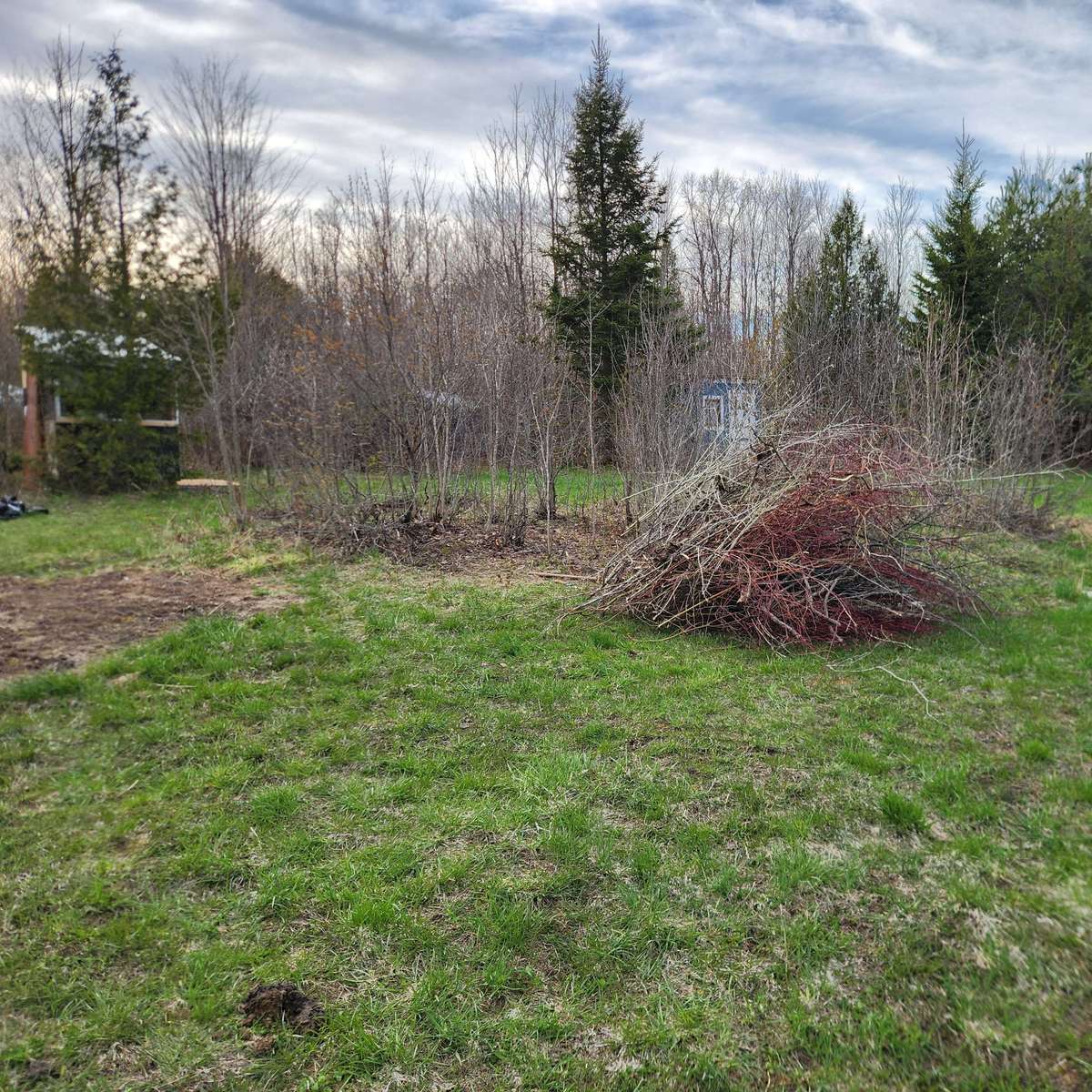 Teste - Primeira tentativa puzzle online