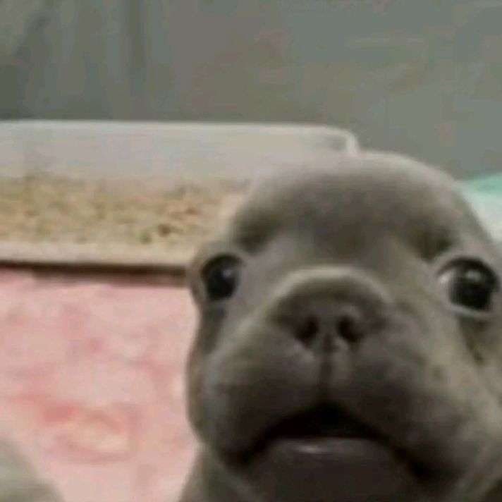 DOBA BĚHU PLUS posuvné puzzle online