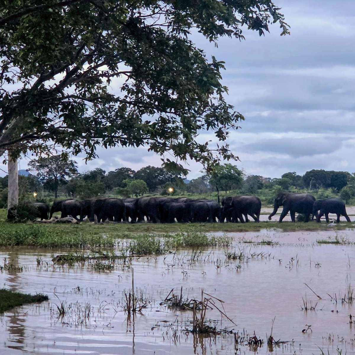 Sri Lanka puzzle online