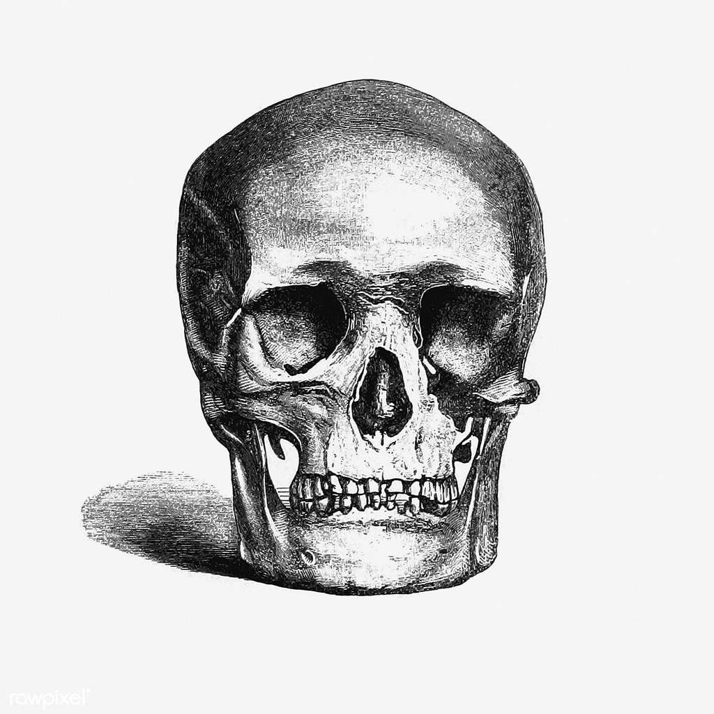 スカルスライダー スライディングパズル・オンライン