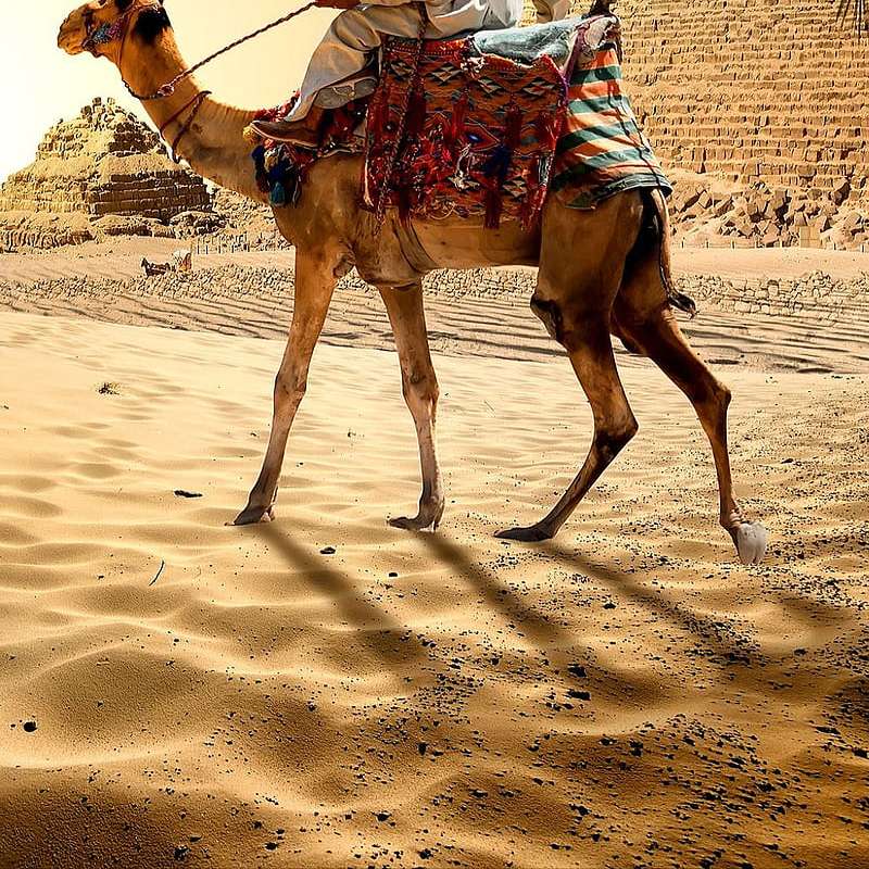 SVS Arabia puzzle online