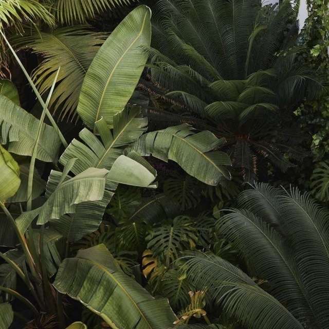 Evenement extra online puzzel