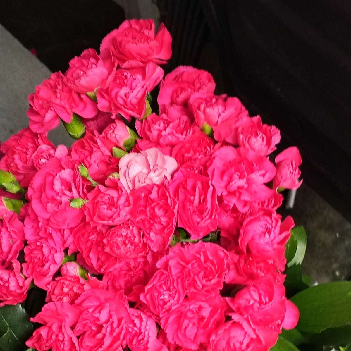 Febbraio Fiori puzzle online