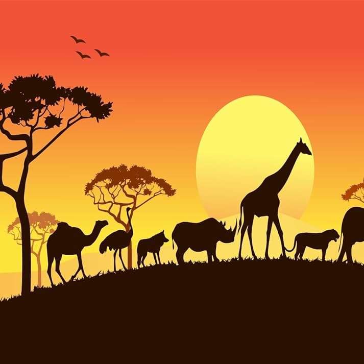 Puzzle cu diapozitive F29 (ușor, 4x4) puzzle online