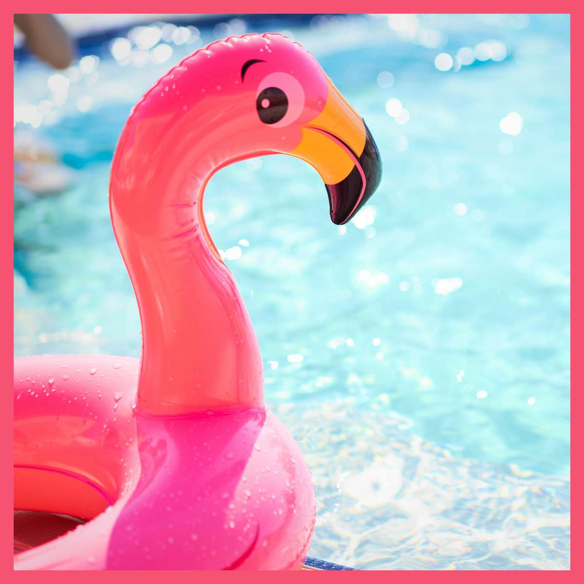 Flamingo Floatie puzzle online