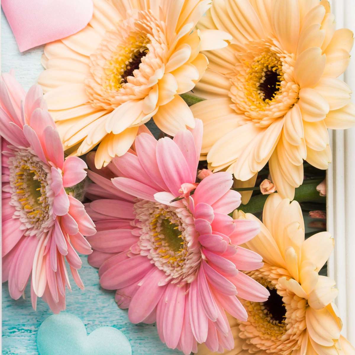 Ροζ & Κίτρινα Λουλούδια συρόμενο παζλ online