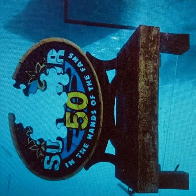 Overlevende 50 schuifpuzzel online